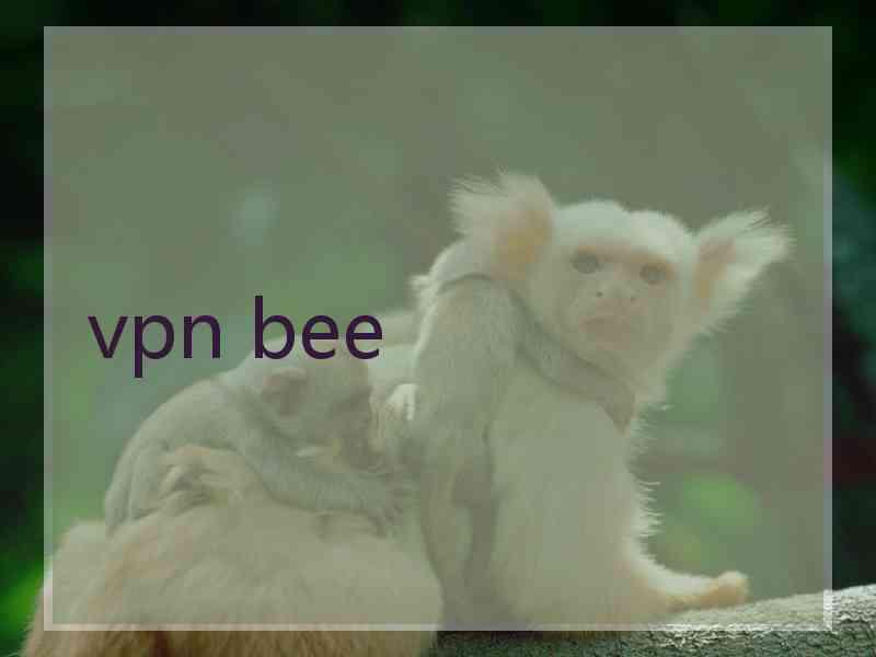 vpn bee