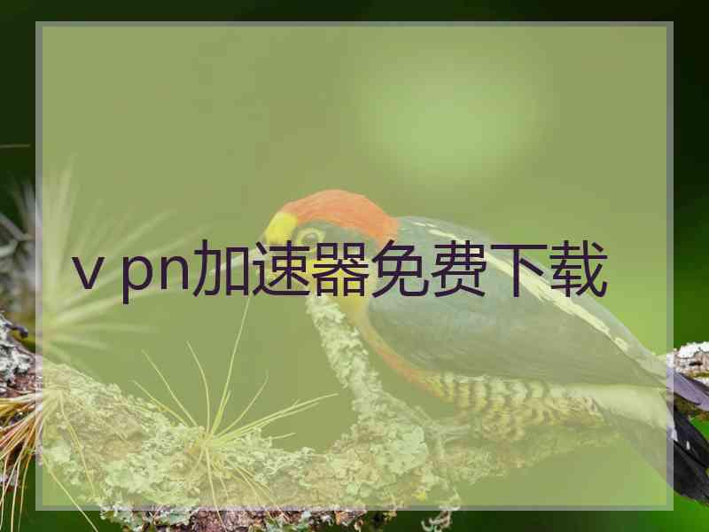 ⅴpn加速器免费下载