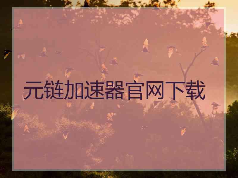 元链加速器官网下载