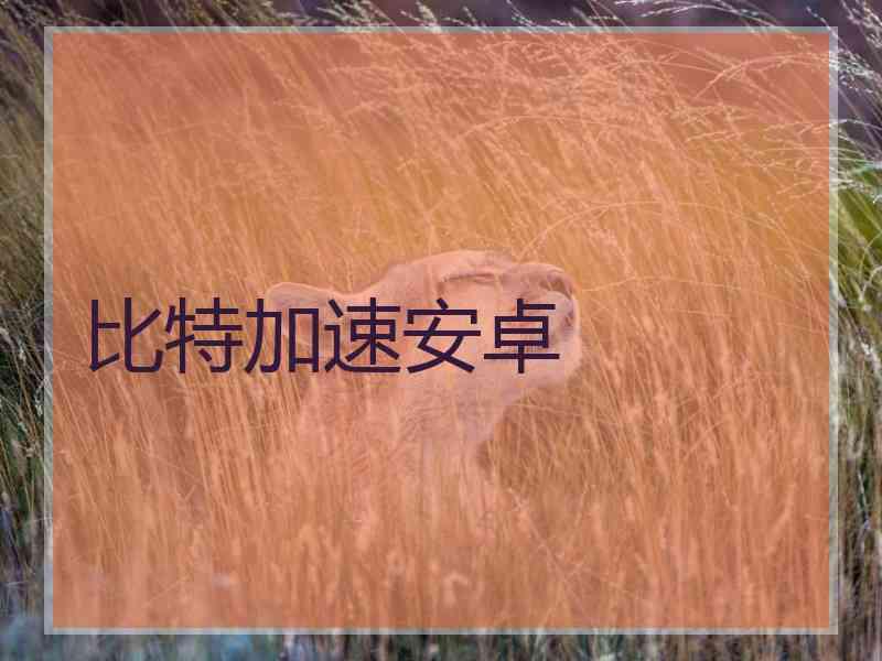 比特加速安卓