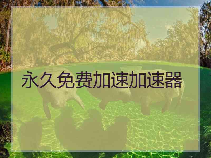 永久免费加速加速器