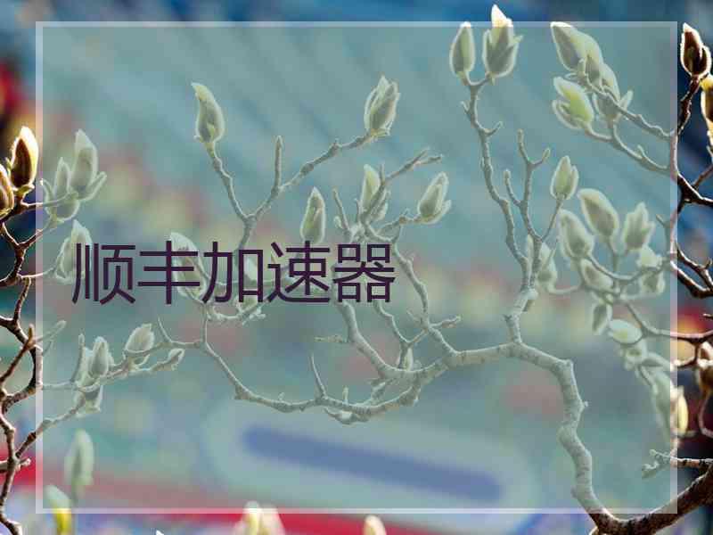 顺丰加速器