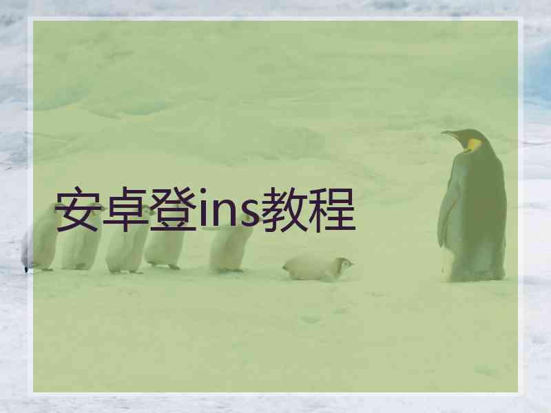 安卓登ins教程