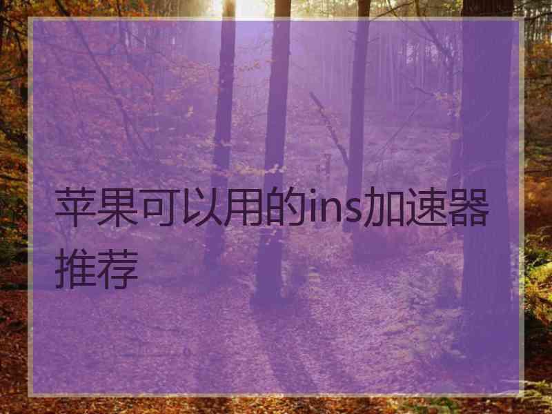 苹果可以用的ins加速器推荐