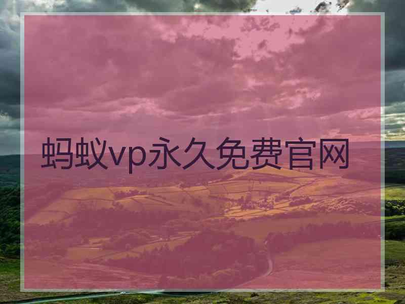 蚂蚁vp永久免费官网