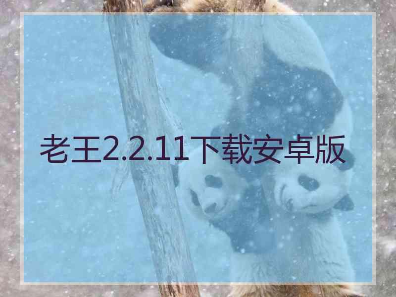 老王2.2.11下载安卓版