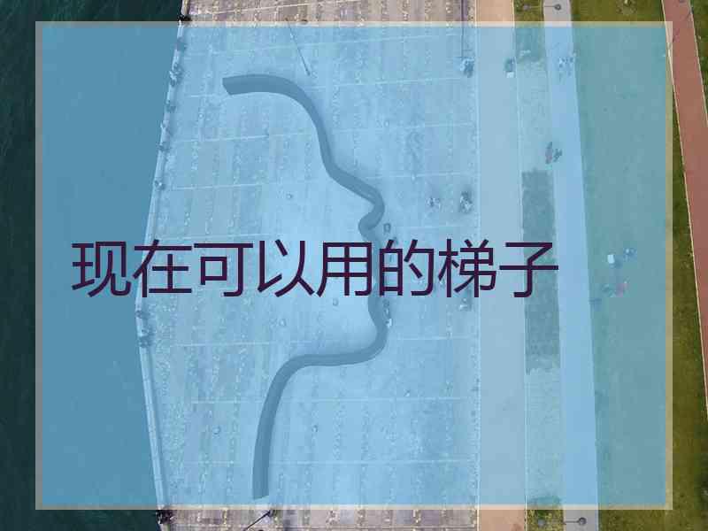 现在可以用的梯子