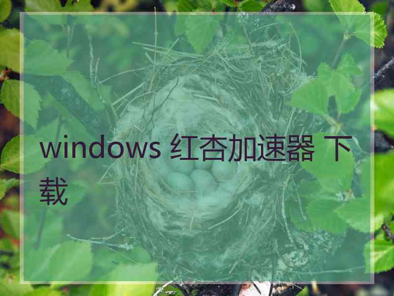 windows 红杏加速器 下载