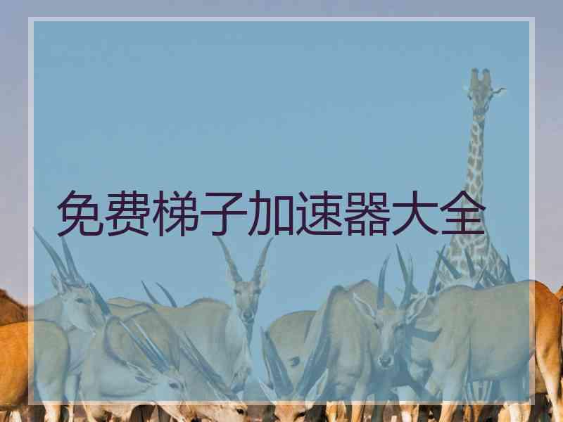 免费梯子加速器大全