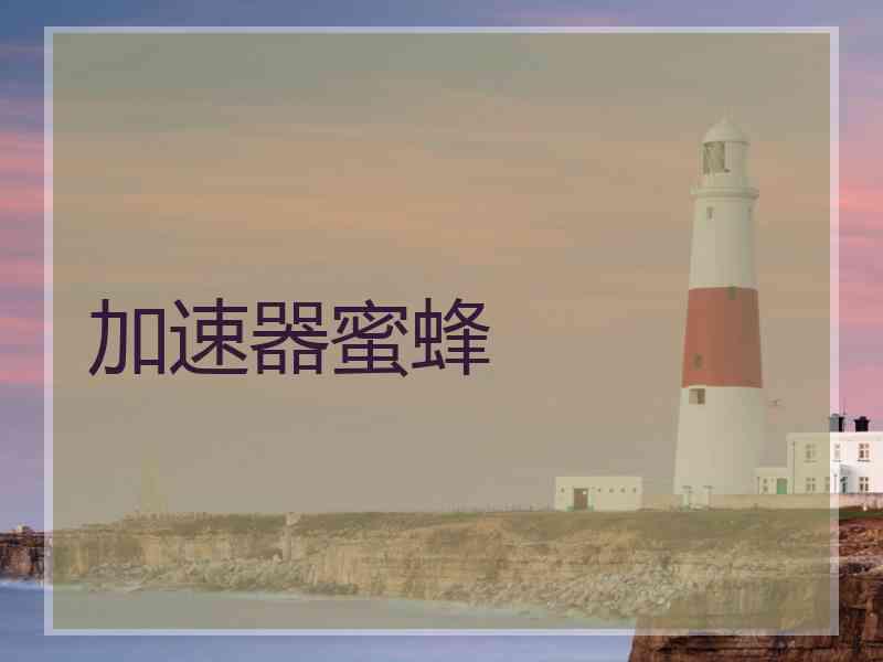 加速器蜜蜂