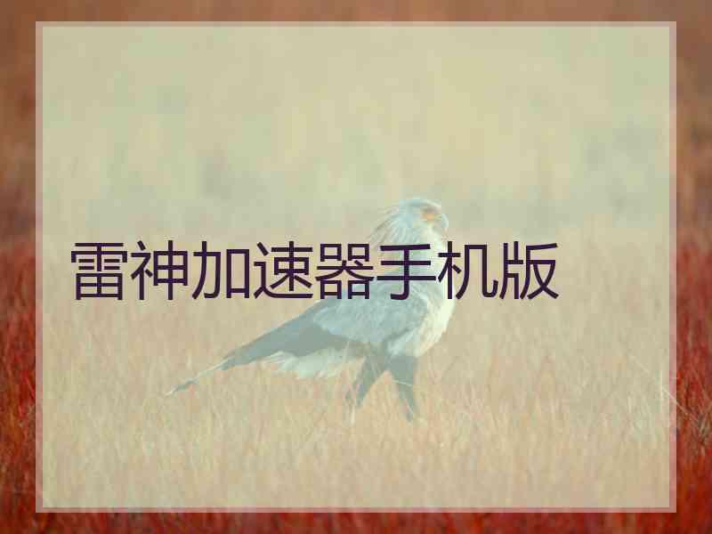 雷神加速器手机版