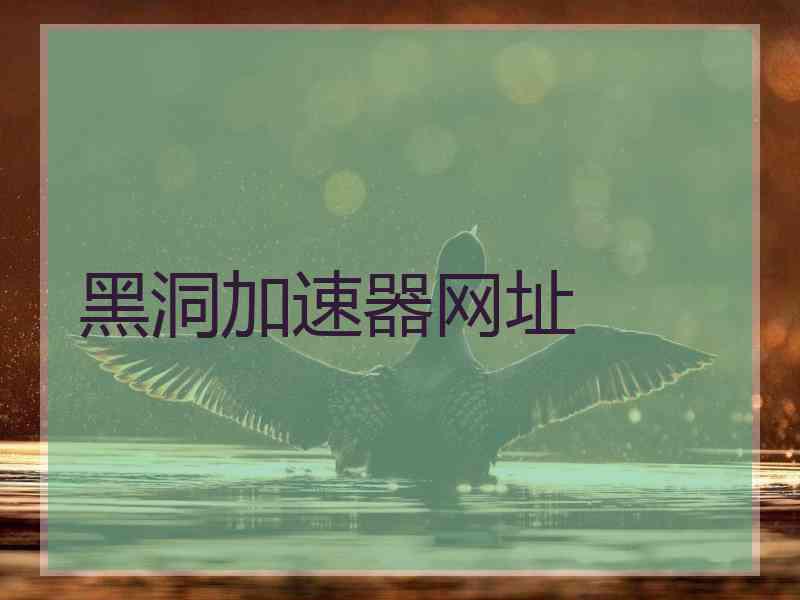 黑洞加速器网址