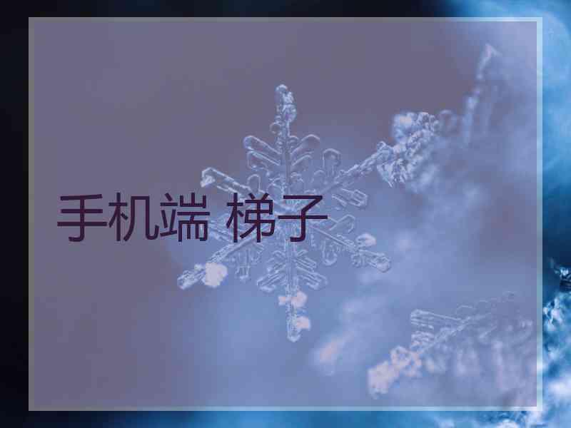 手机端 梯子