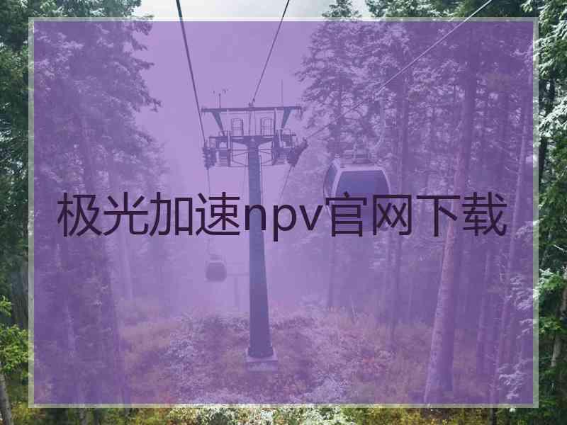 极光加速npv官网下载