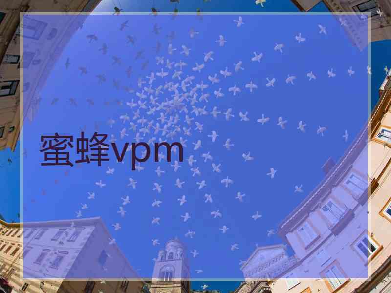 蜜蜂vpm