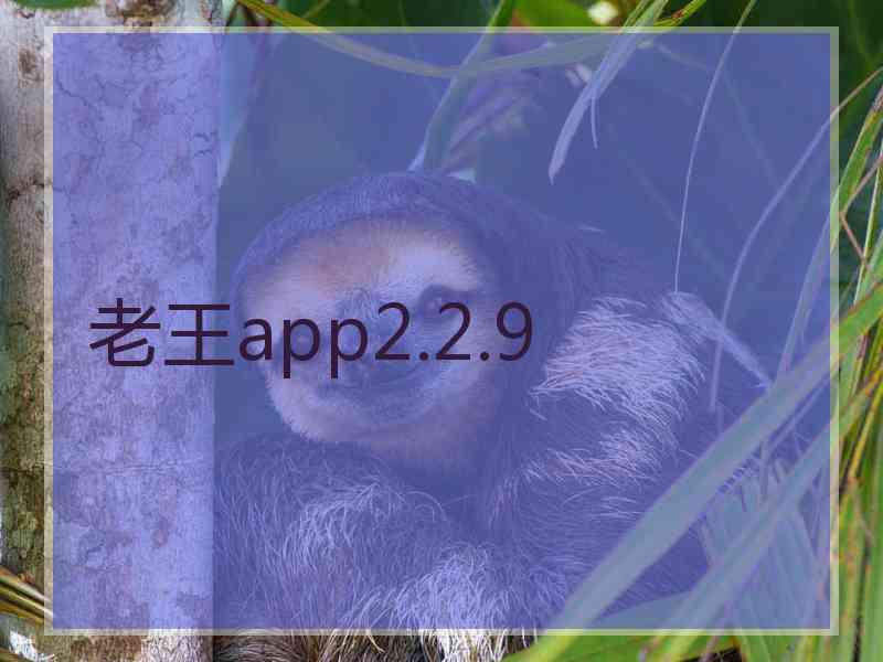 老王app2.2.9