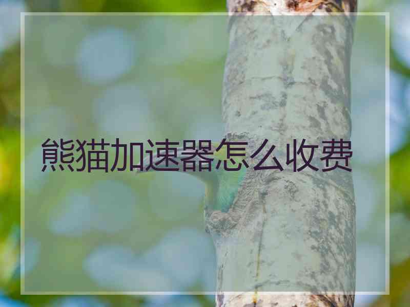 熊猫加速器怎么收费