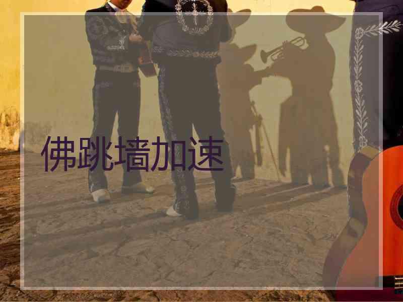 佛跳墙加速
