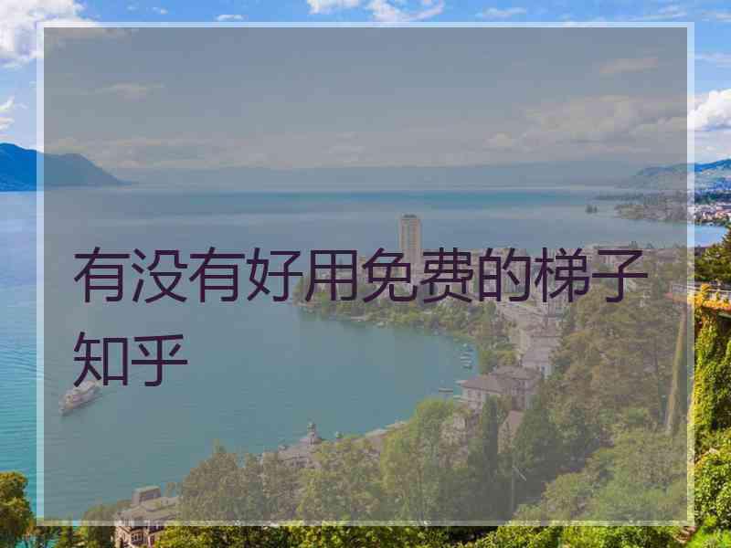 有没有好用免费的梯子 知乎