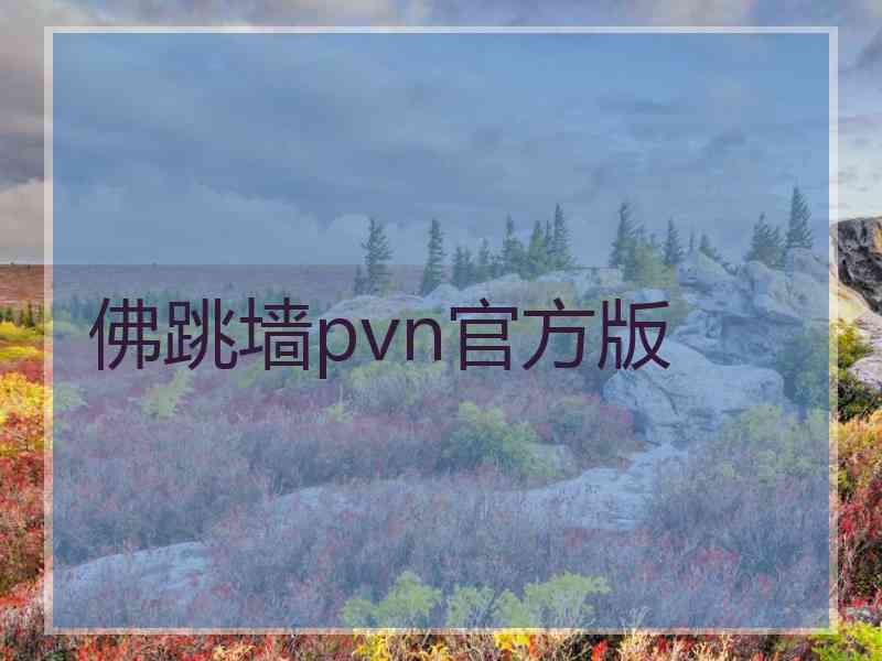 佛跳墙pvn官方版