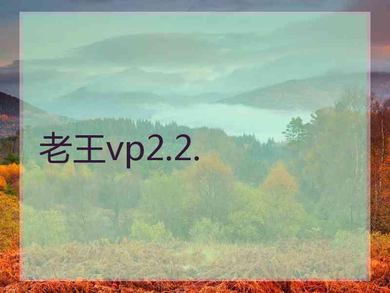 老王vp2.2.