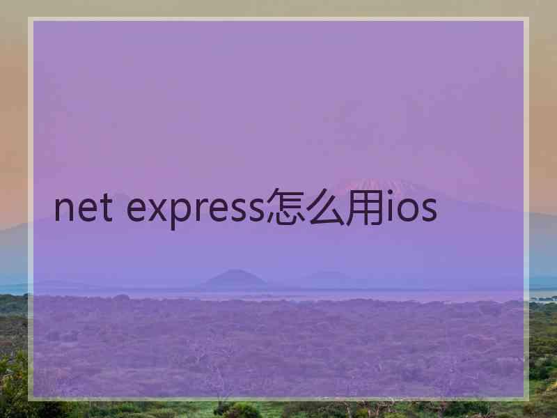net express怎么用ios