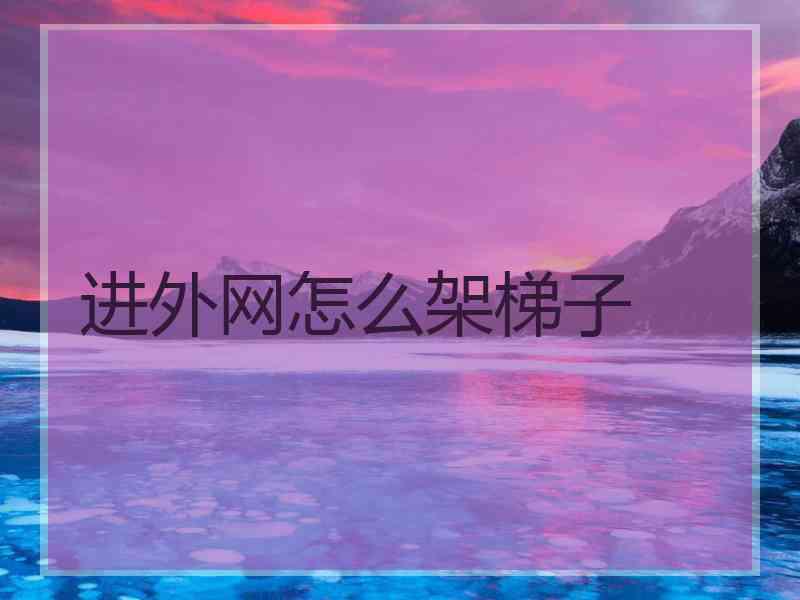 进外网怎么架梯子