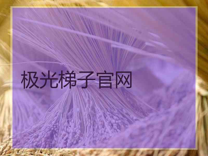 极光梯子官网