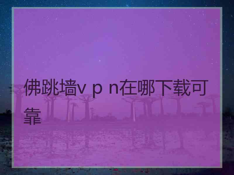 佛跳墙v p n在哪下载可靠