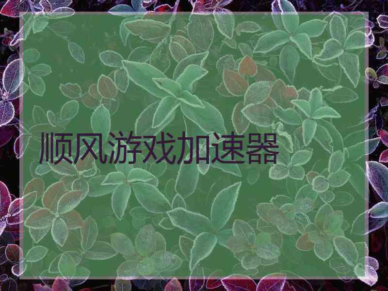 顺风游戏加速器
