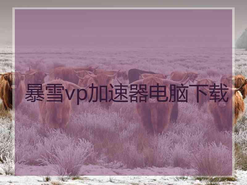 暴雪vp加速器电脑下载