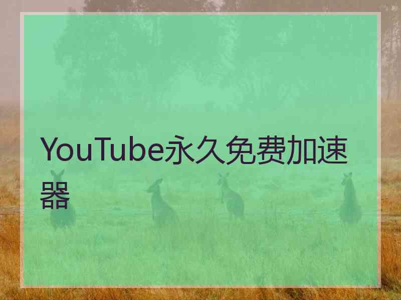 YouTube永久免费加速器