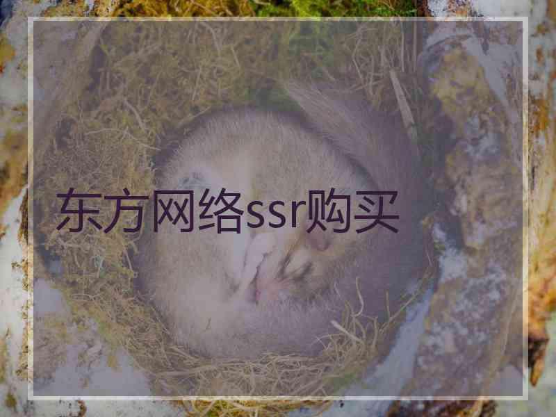 东方网络ssr购买