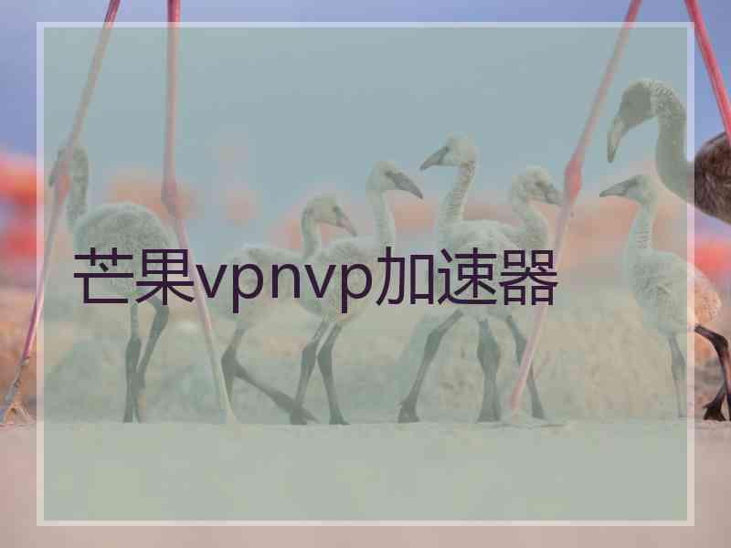 芒果vpnvp加速器