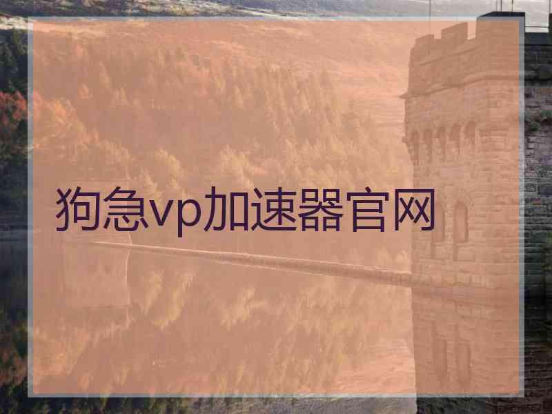 狗急vp加速器官网