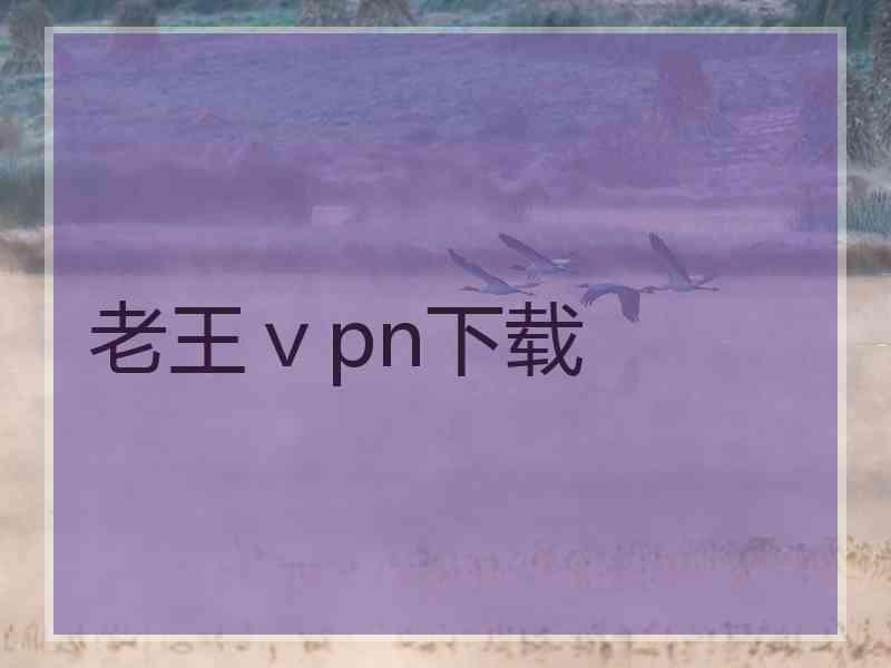 老王ⅴpn下载