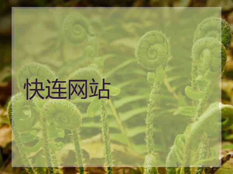 快连网站