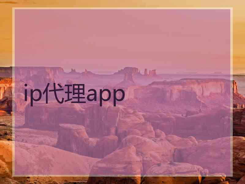 ip代理app