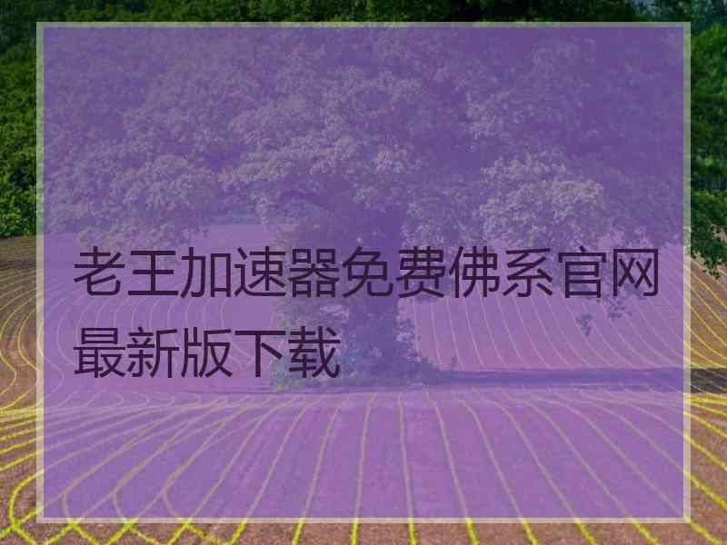 老王加速器免费佛系官网最新版下载
