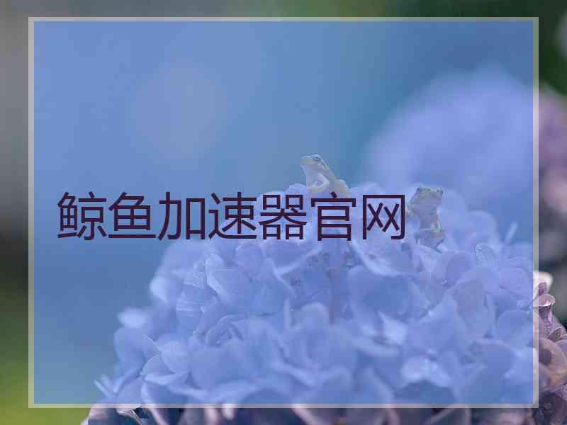 鲸鱼加速器官网