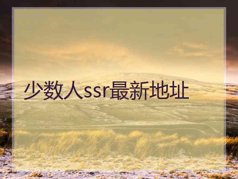 少数人ssr最新地址