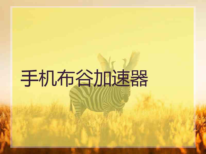 手机布谷加速器