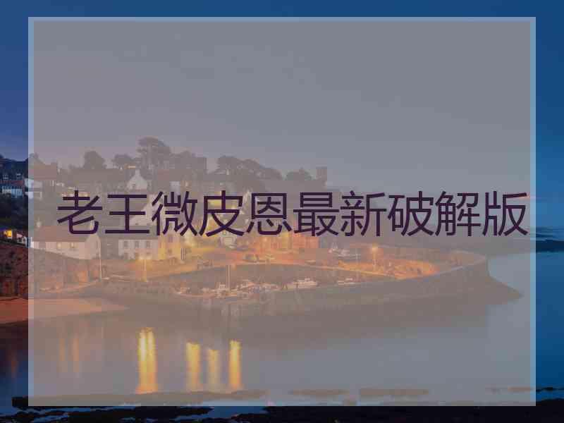 老王微皮恩最新破解版