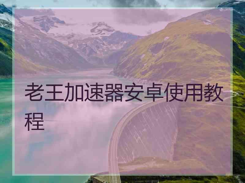 老王加速器安卓使用教程