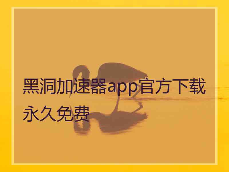 黑洞加速器app官方下载永久免费