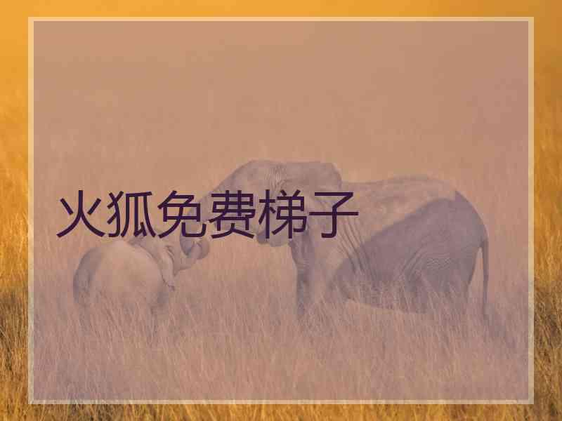 火狐免费梯子