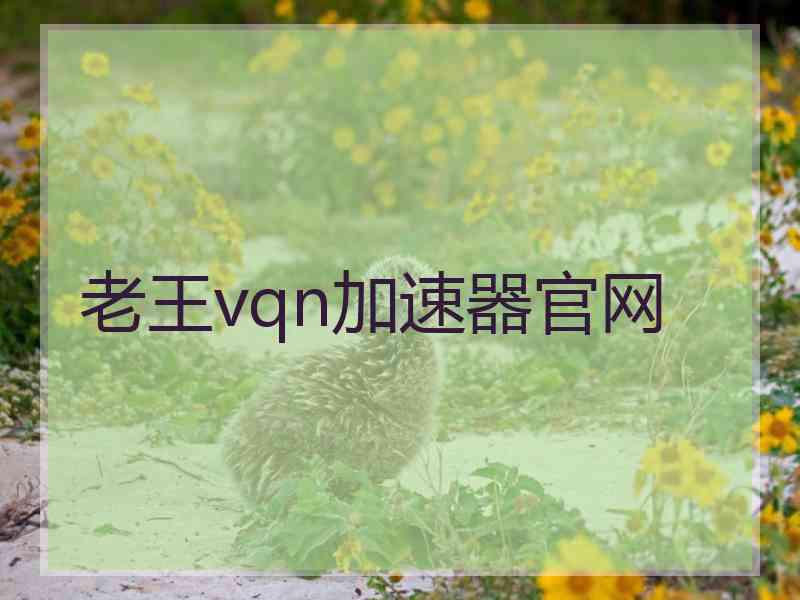 老王vqn加速器官网