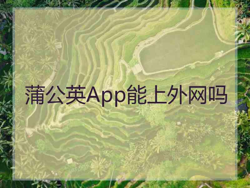 蒲公英App能上外网吗