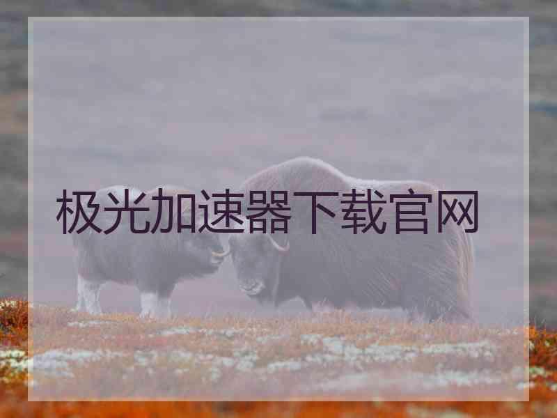 极光加速器下载官网