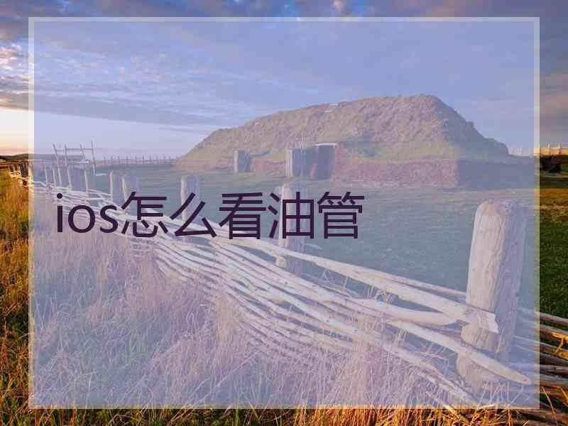ios怎么看油管